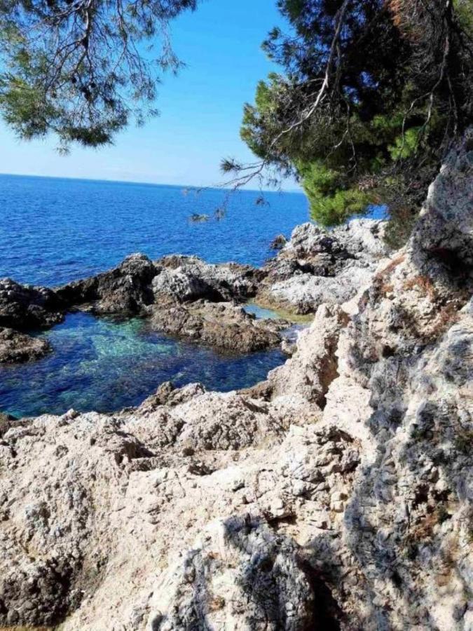 Ana - Cosy With Sea View * Dubrovnik